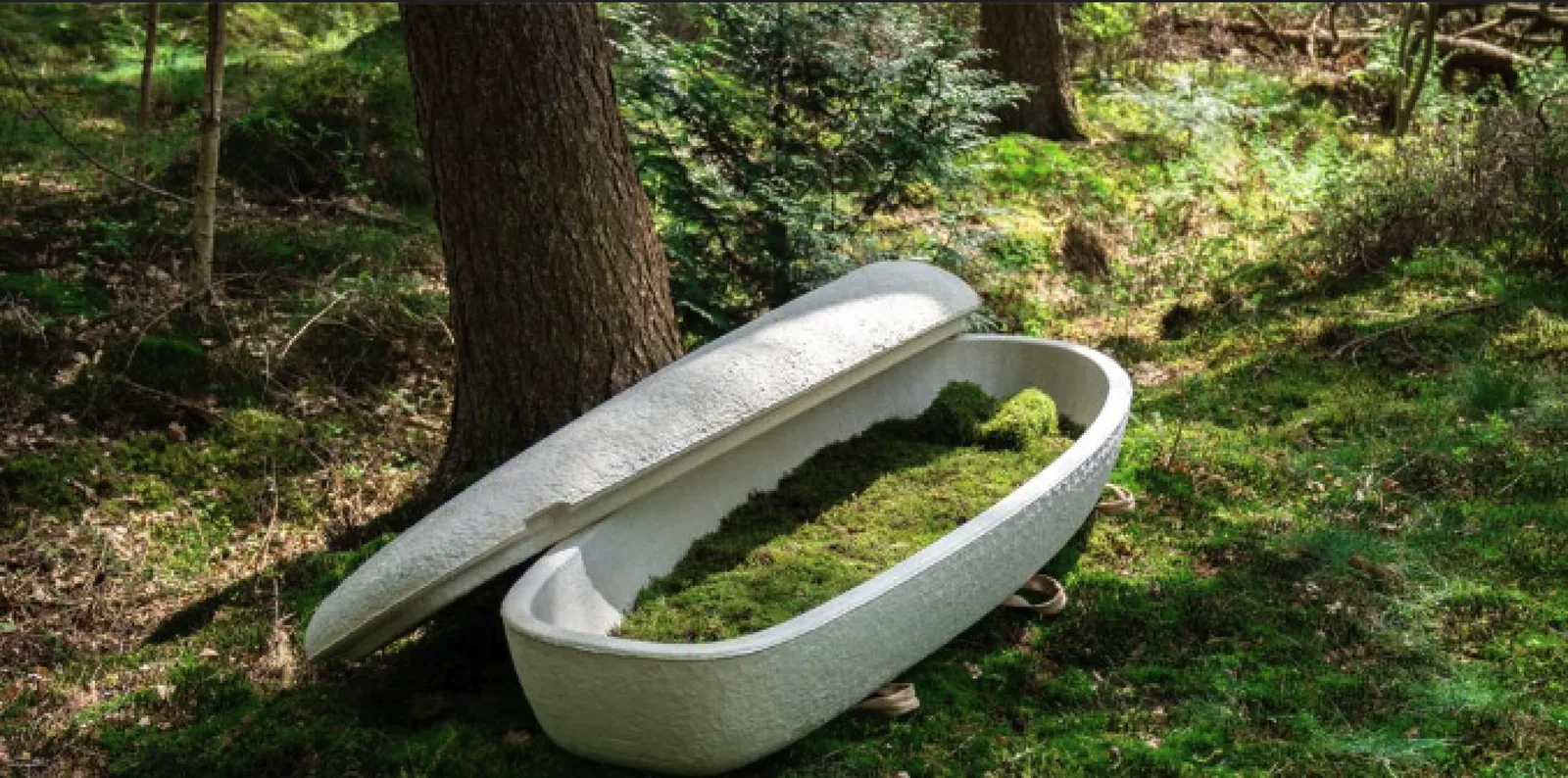 Een natuurlijke kist voor een natuurbegrafenis.